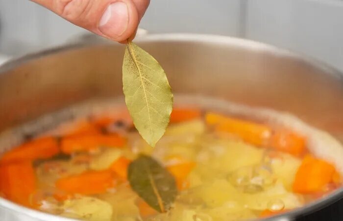 Фото из Сети