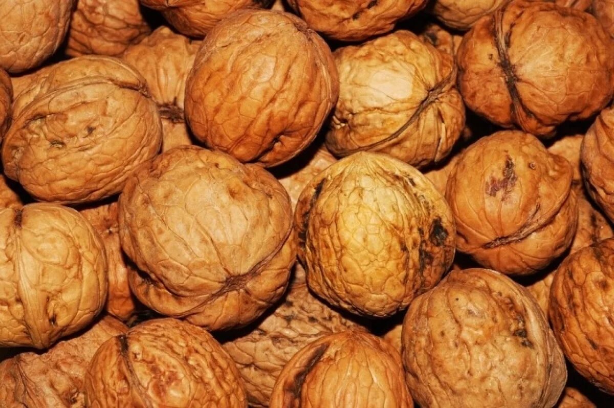    Партия макадамии задержана саратовскими пограничниками