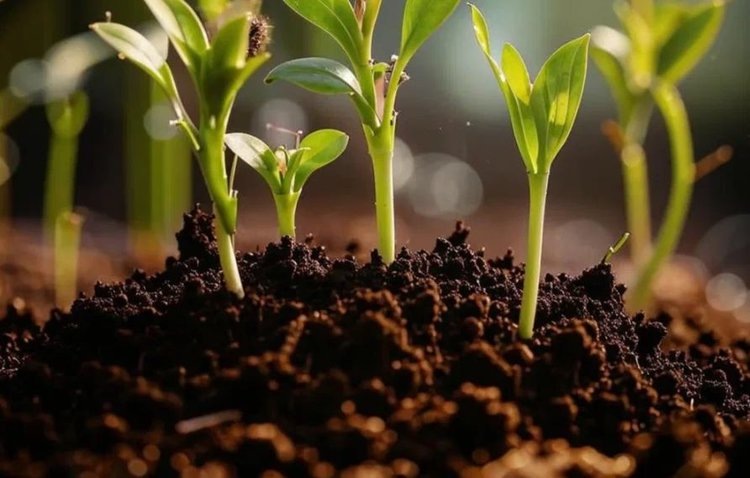    Фото: Медведева Анна, AgroXXI.ru