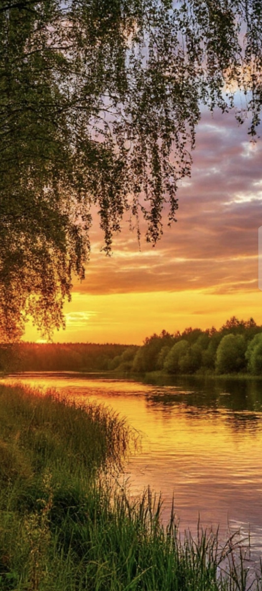 От зари до зари пой гитарная струна. Фото из открытых источников.