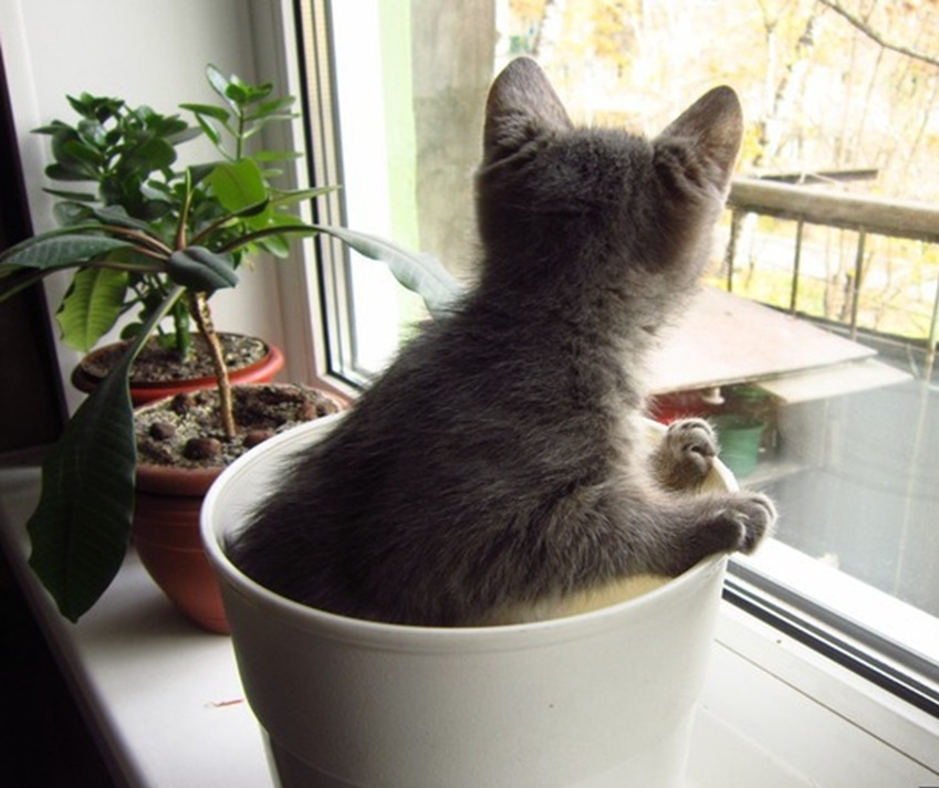 Где там весна-то???