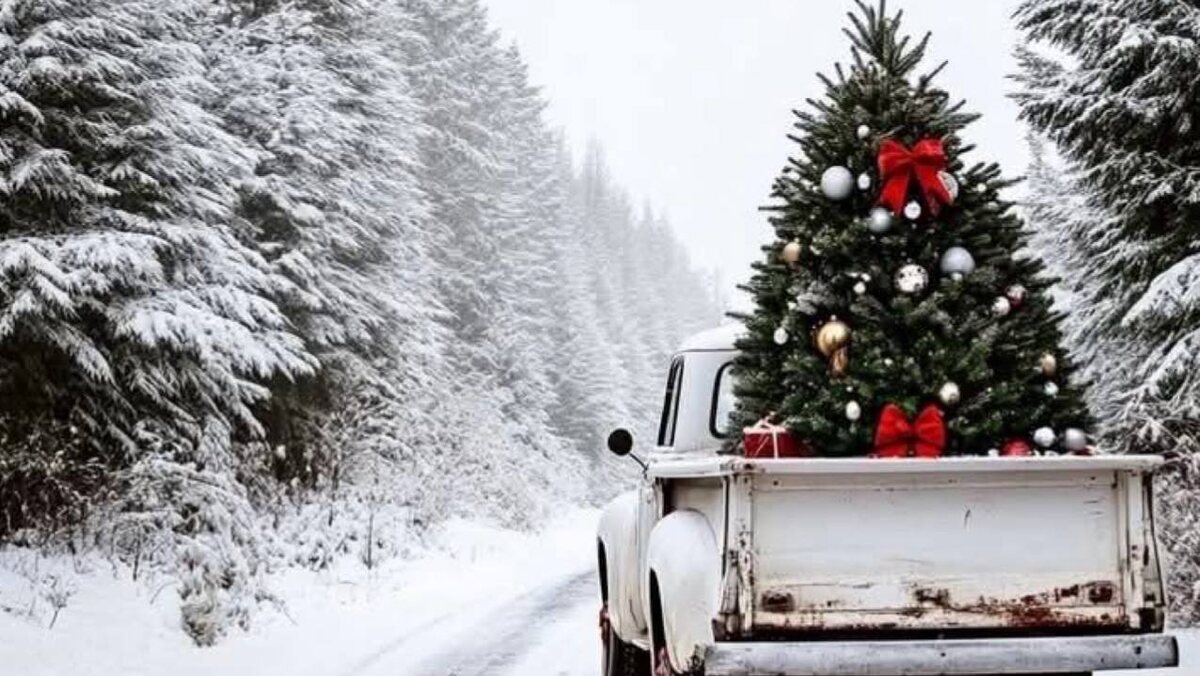 Источник: Pinterest