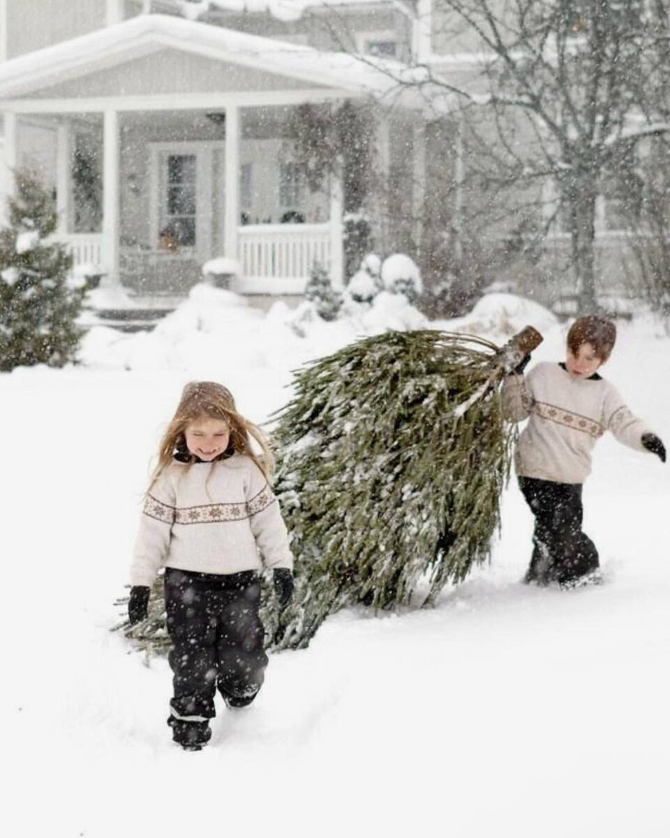 Источник: Pinterest