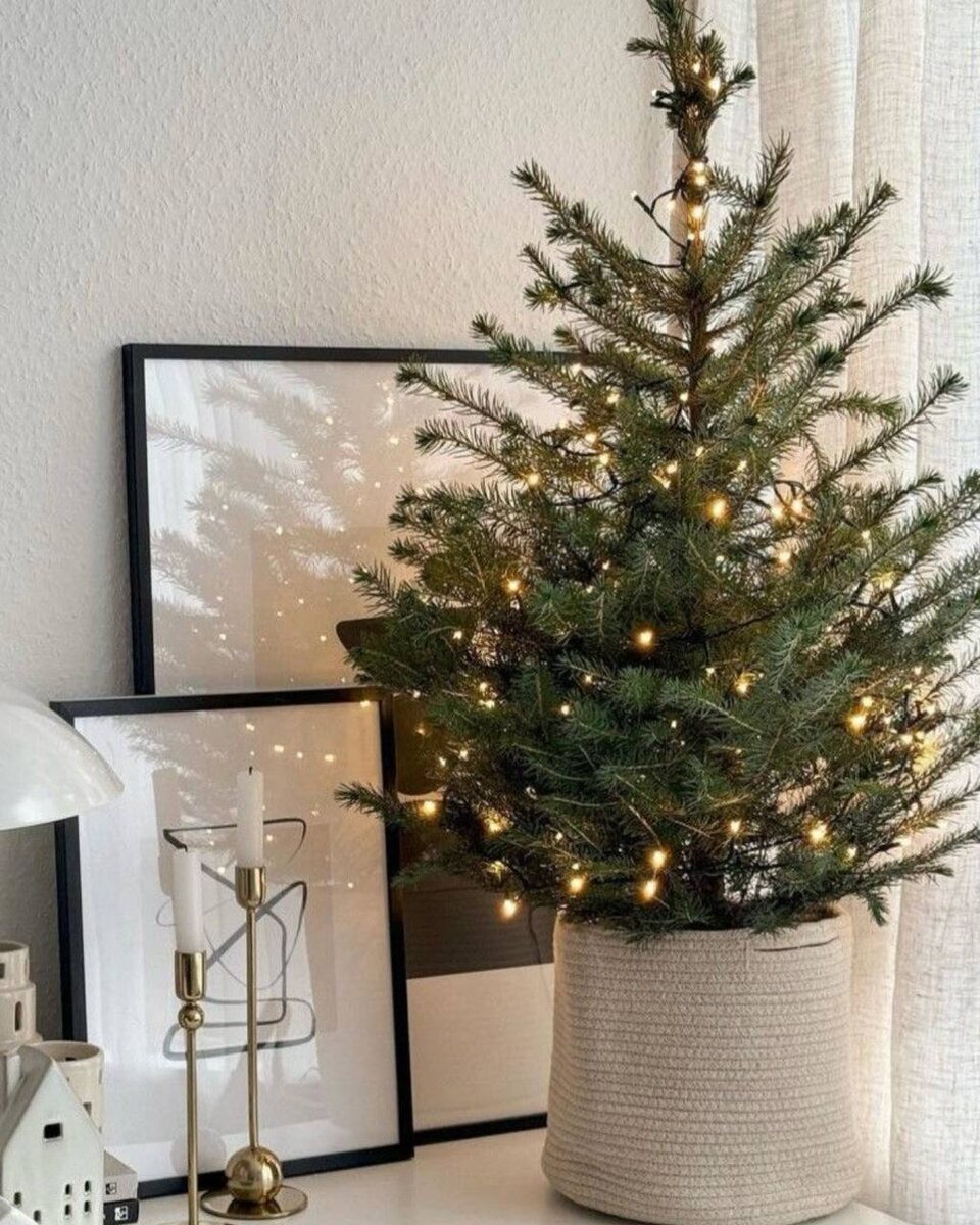 Источник: Pinterest