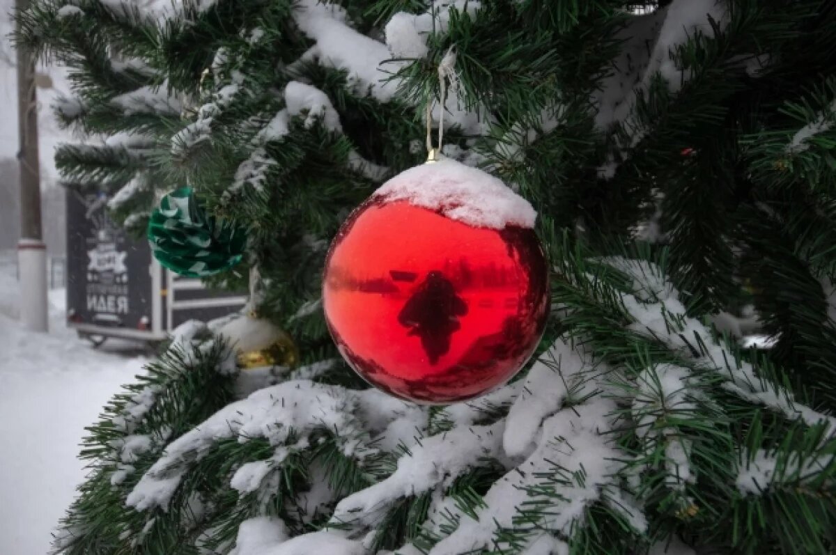    Стало известно, что юные туляки попросили на «Ёлке желаний»