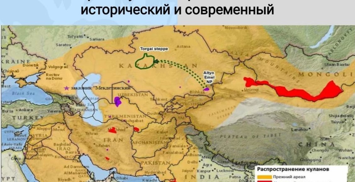    Фото: пресс-служба Росзаповедцентра Минприроды России