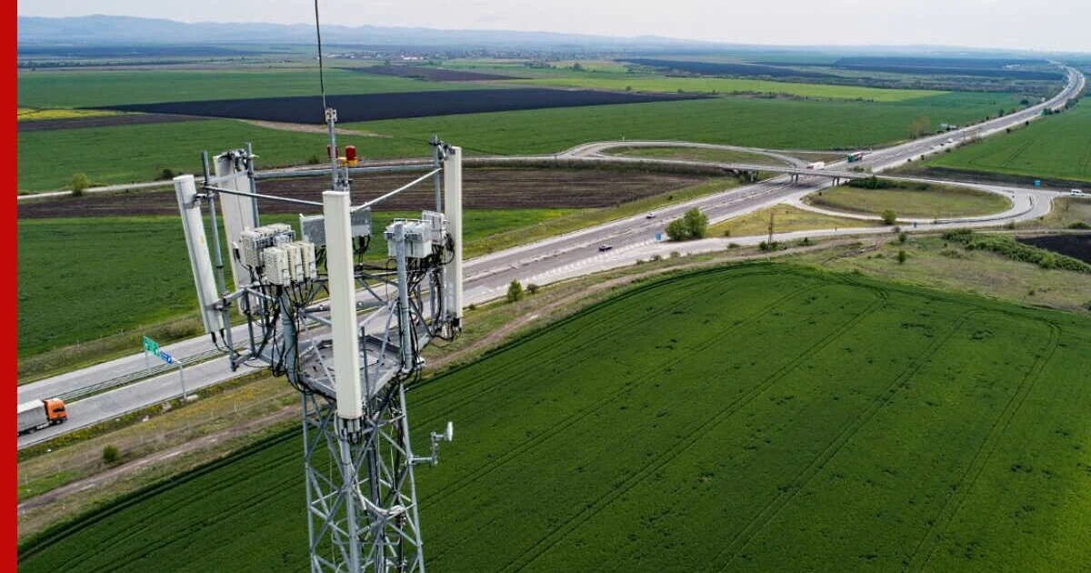    Фото: открытый источник