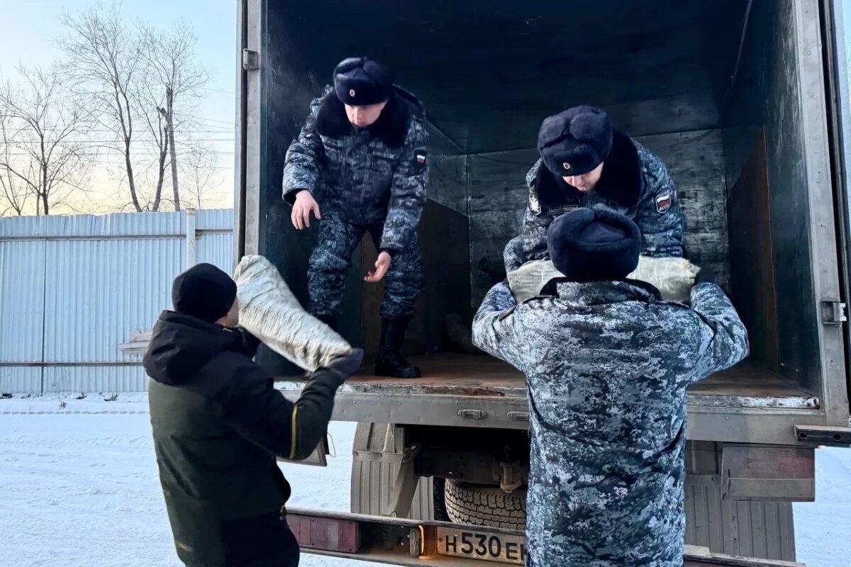    Стала известна судьба бивней мамонта, изъятых у хабаровского контрабандиста