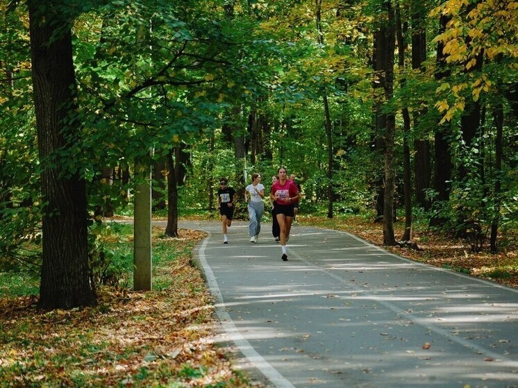     фото: мк в пензе