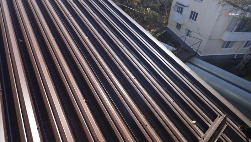      Фото: Дмитрий Ахмадуллин / / ИА «Победа26»