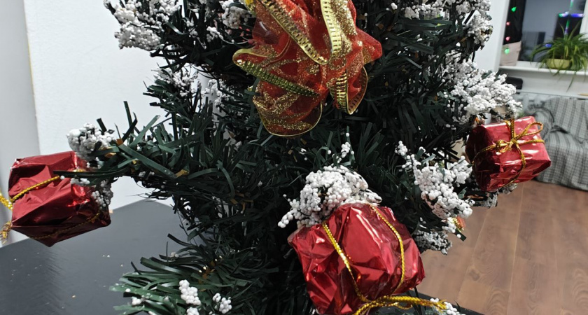    Фото: Первый городской канал Калининград