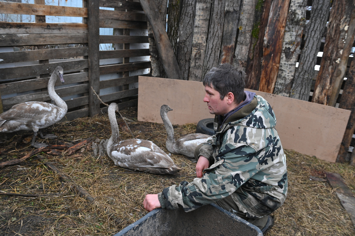 Так живет АНО ЦРДЖ «Пин и Пуф»