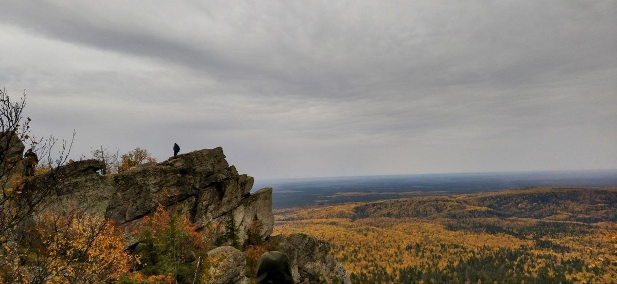    © Алёна Бронникова