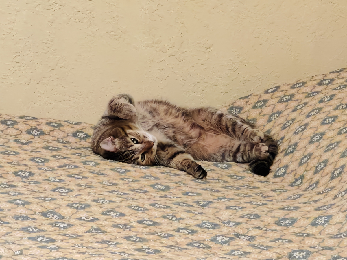 Хорошего дня Вам желает Артём 