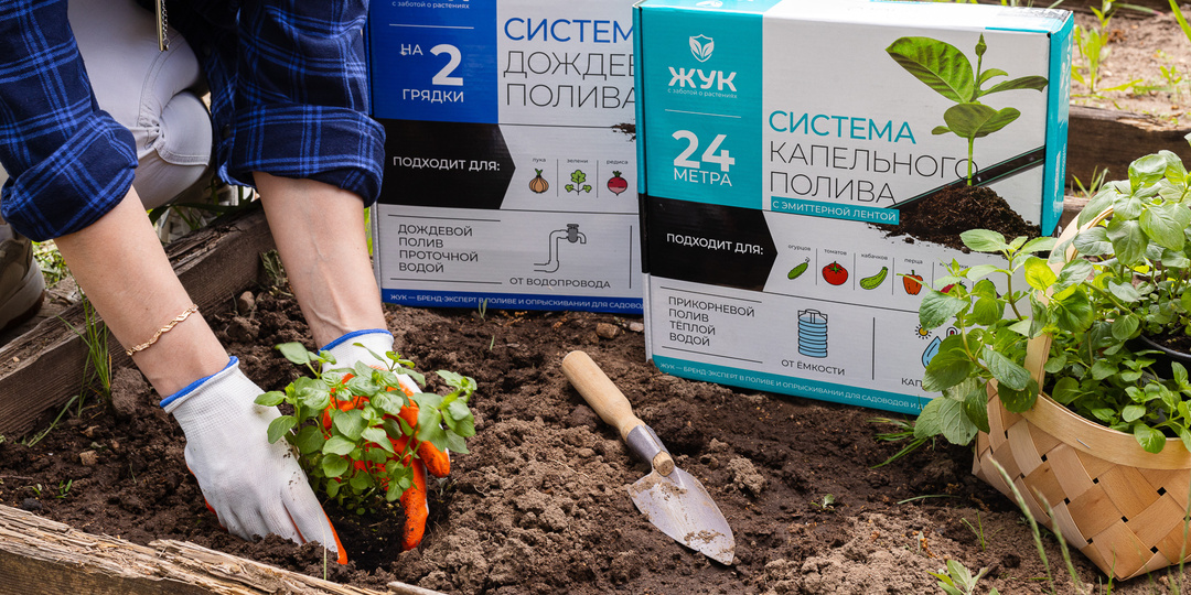 Азбука начинающего огородника (ч.2): говорим о сроках посадки