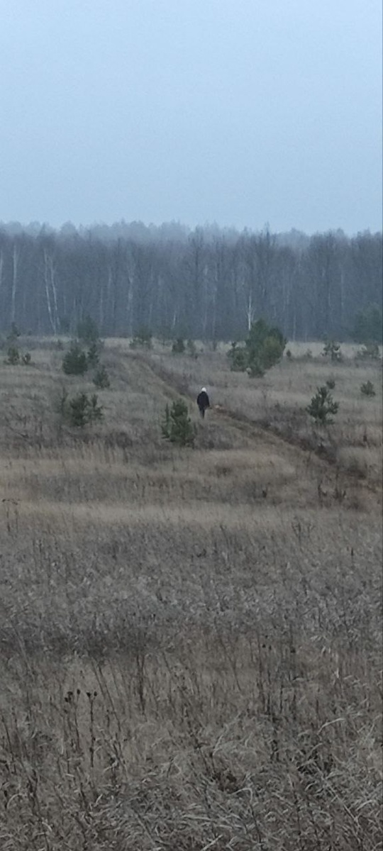 Бесснежный декабрь. 