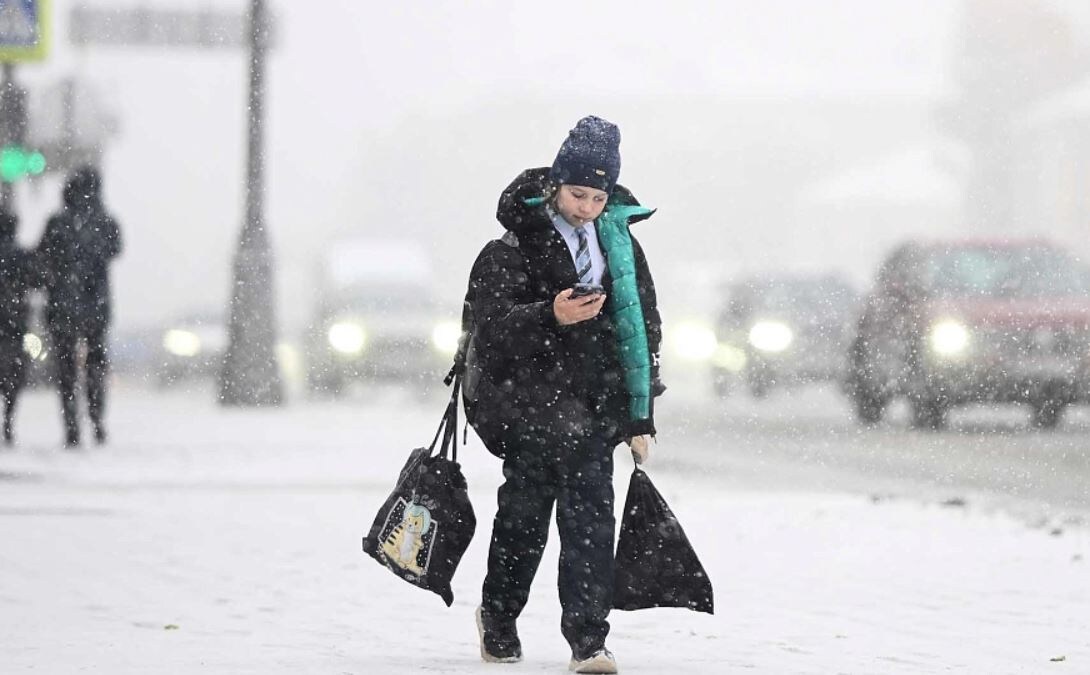 Владимир Астапкович/РИА Новости
