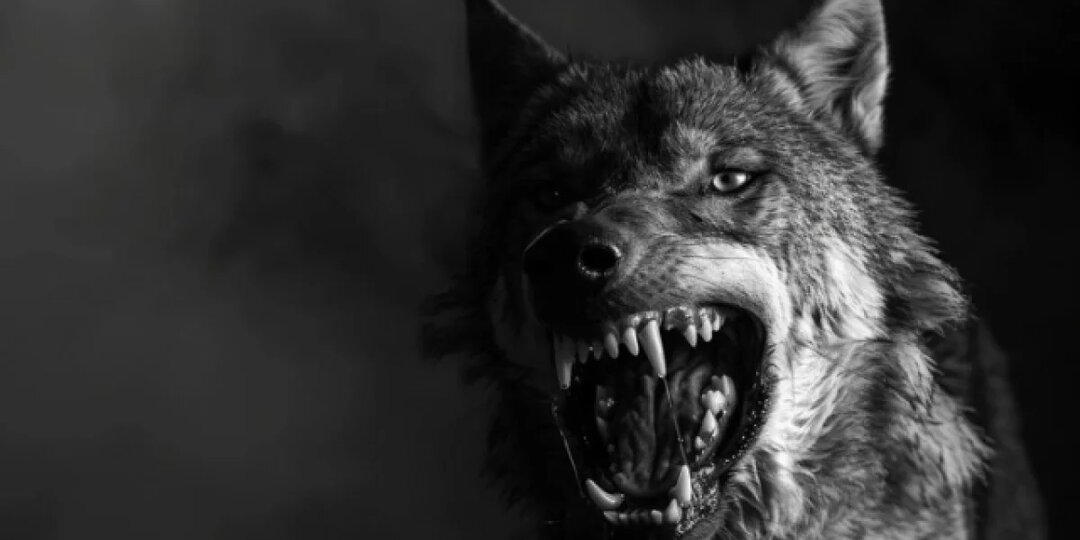 Нападение собаки на маленькую девочку обошлось мэрии Ижевска в 30 тыс. руб.