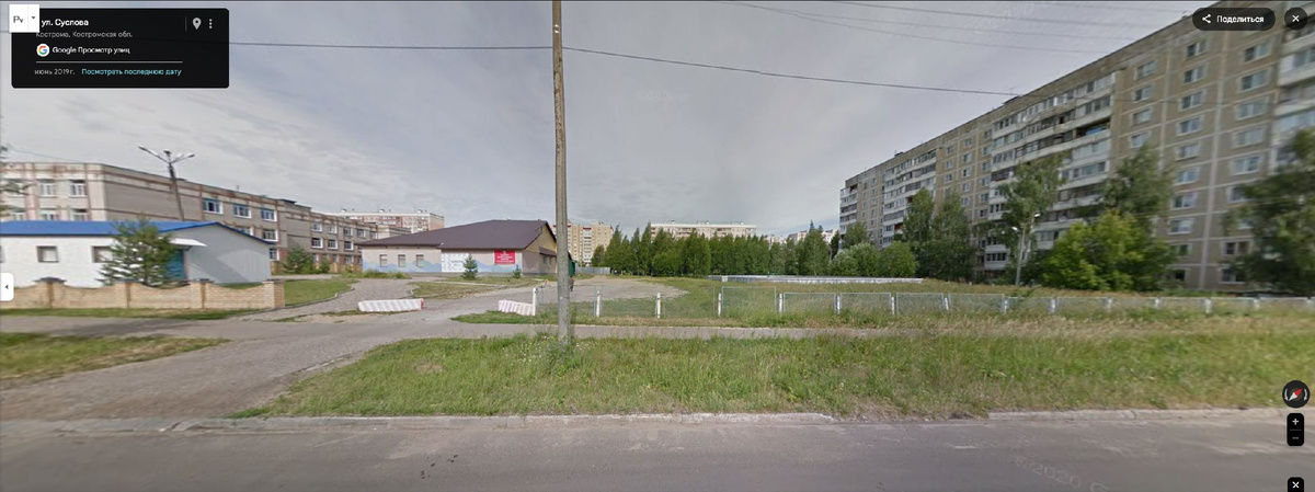 2019 год - вдали березовая роща