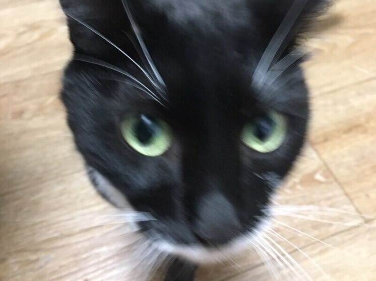     Фото Виктории Поповой