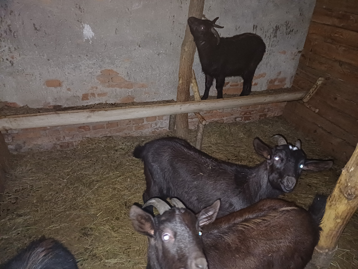 Пятерка бунтарей, все в кадр не поместились