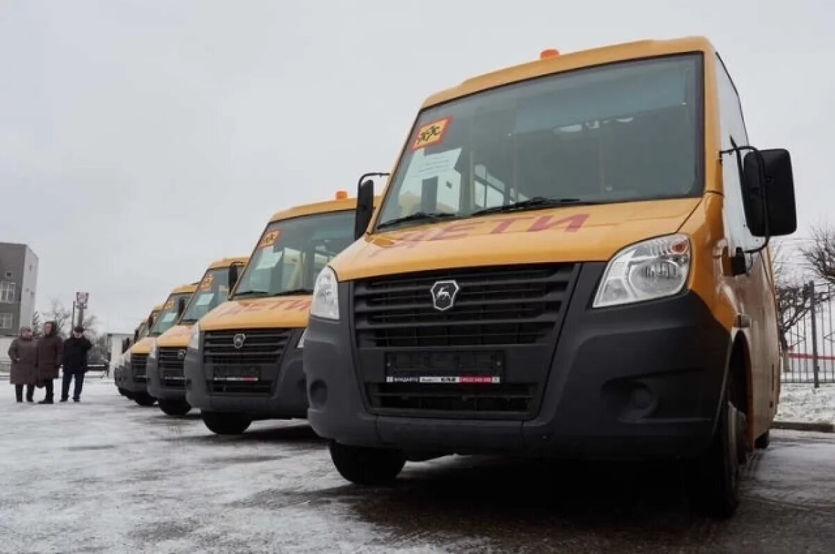    22 автобуса для школьников: во Владимирской области пополнили автопарк