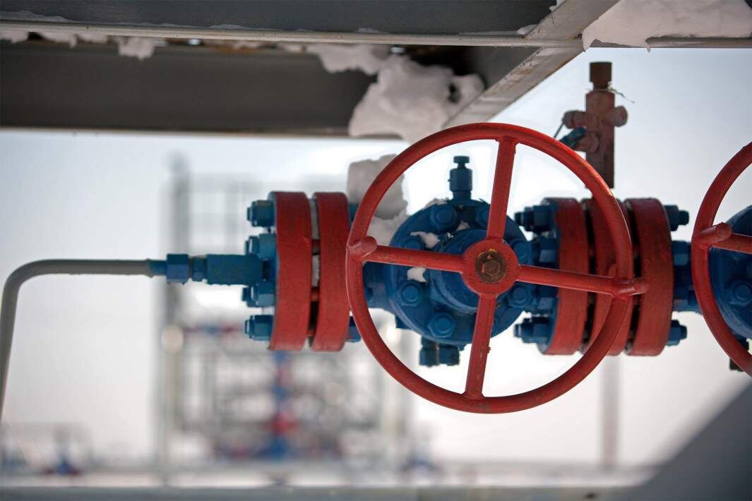 Фото: ИЗВЕСТИЯ/Алексей Белянчев