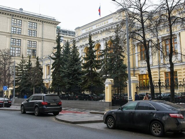    Фото: Москва 24/Никита Симонов