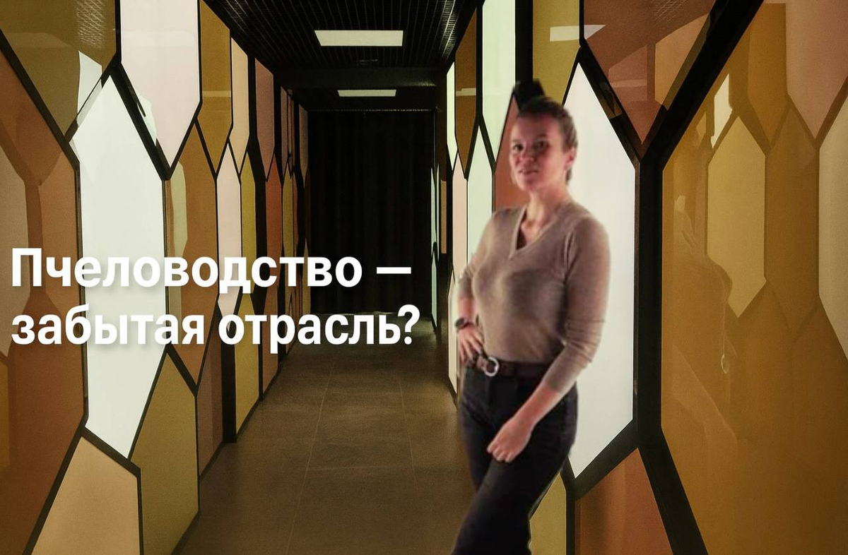 Мой ВК: @shikinaekaterina