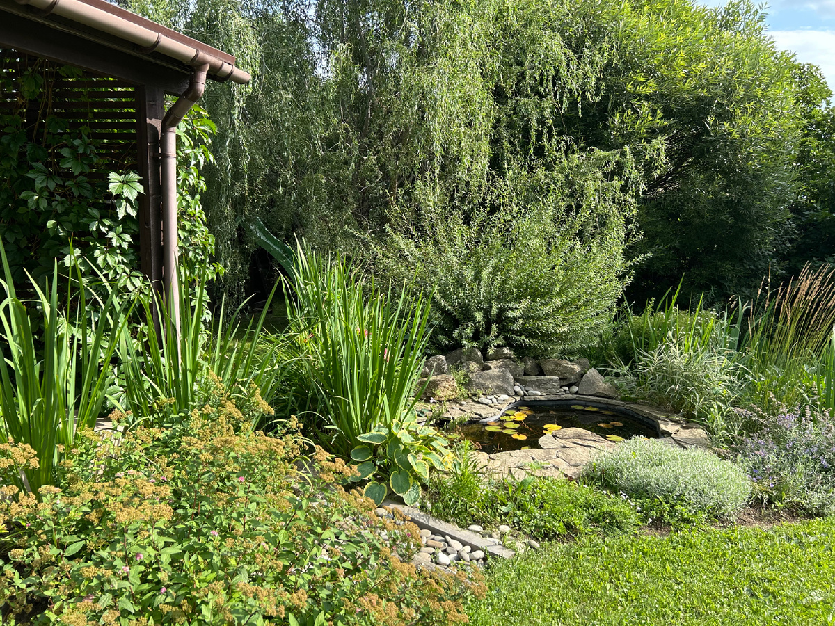 Лето 2025 года. Ива Маяк после двух стрижек, о которых я и хочу рассказать.