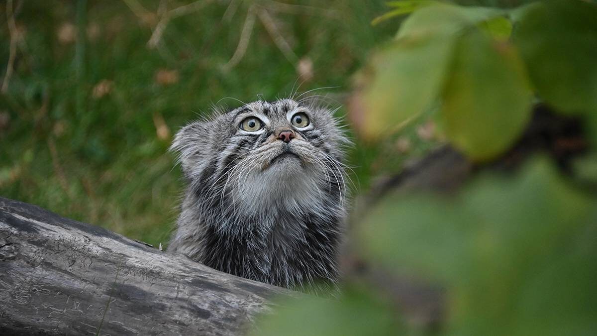    Фото: Александр Кочубей / Вечерняя Москва