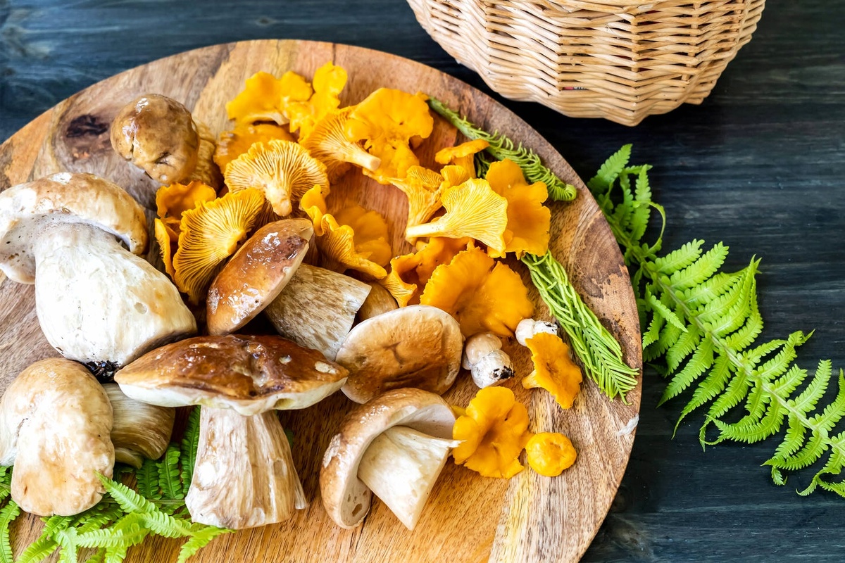 Что приготовить из сушёных грибов