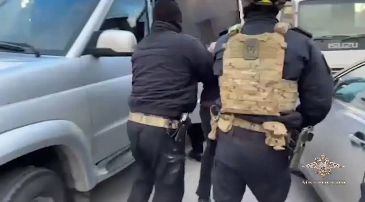    Фото: скриншот видео официального представителя МВД РФ Ирины Волк