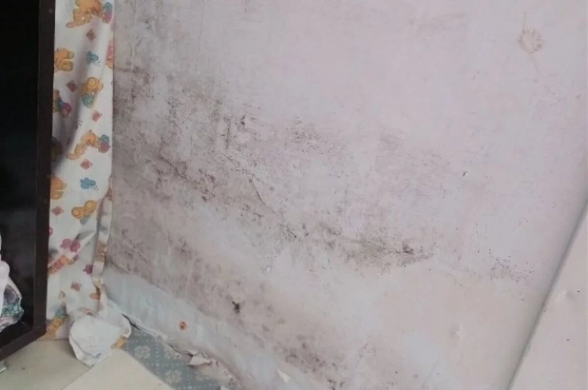    С плесенью жильцы аварийного дома вынуждены бороться годами