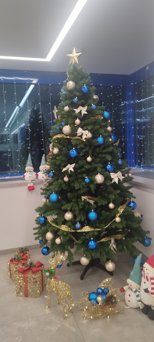Такая елочка встречает нас каждый год при входе в офис. Очень мне нравится. 