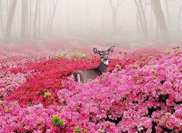 Объективная реальность и никакого фотошопа - 3!