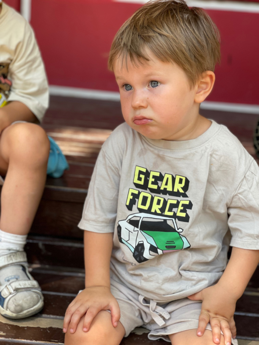 «Мда-а, и кто придумывал этот гениальный план?»