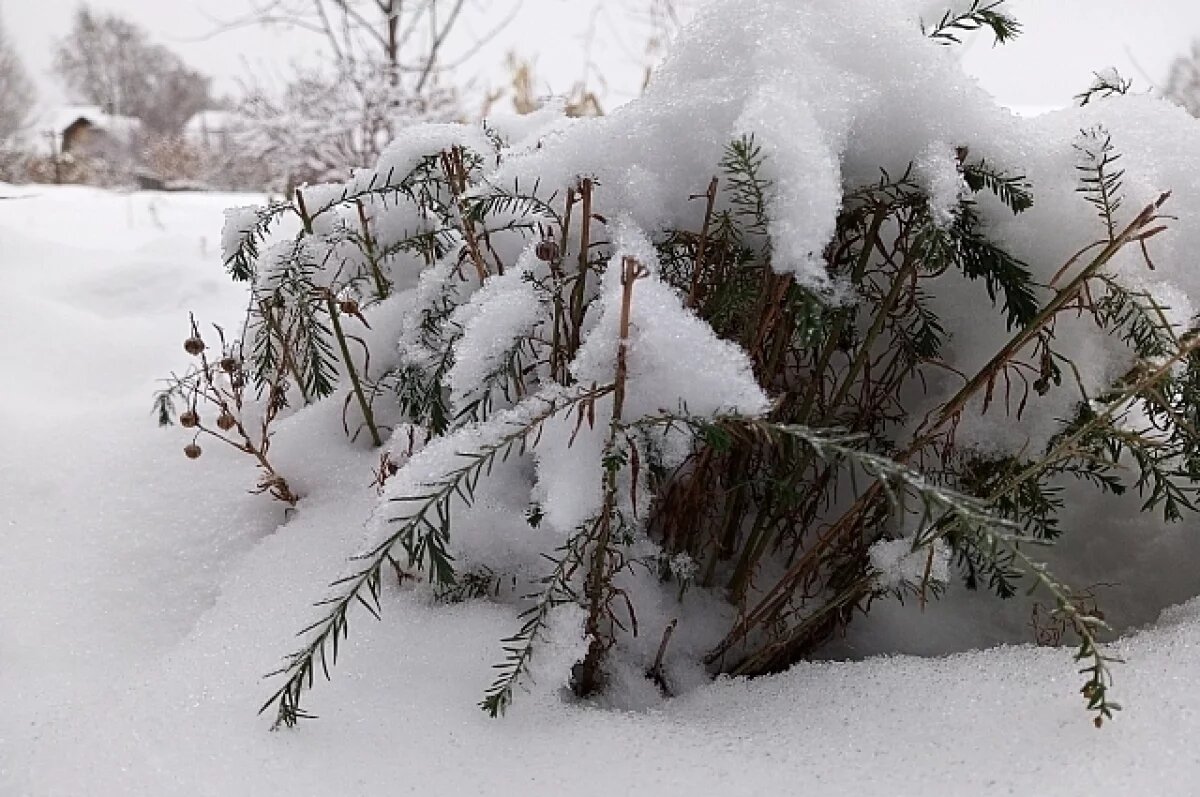    Сильные снегопады и метели надвигаются на Свердловскую область