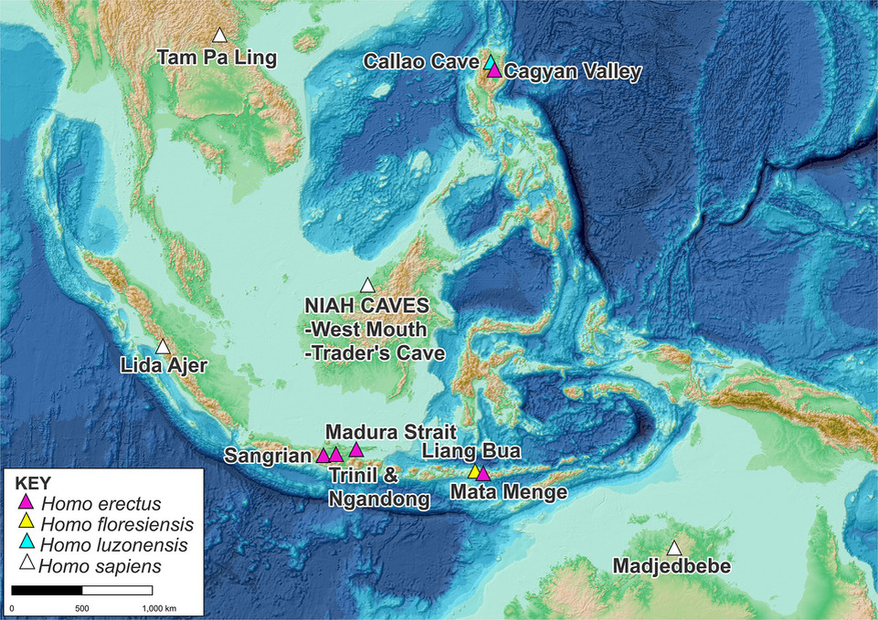   Darren Curnoe et al. / PLoS ONE, 2025