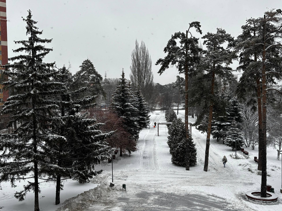 Портал «Моя Казань» / Камила Вильданова