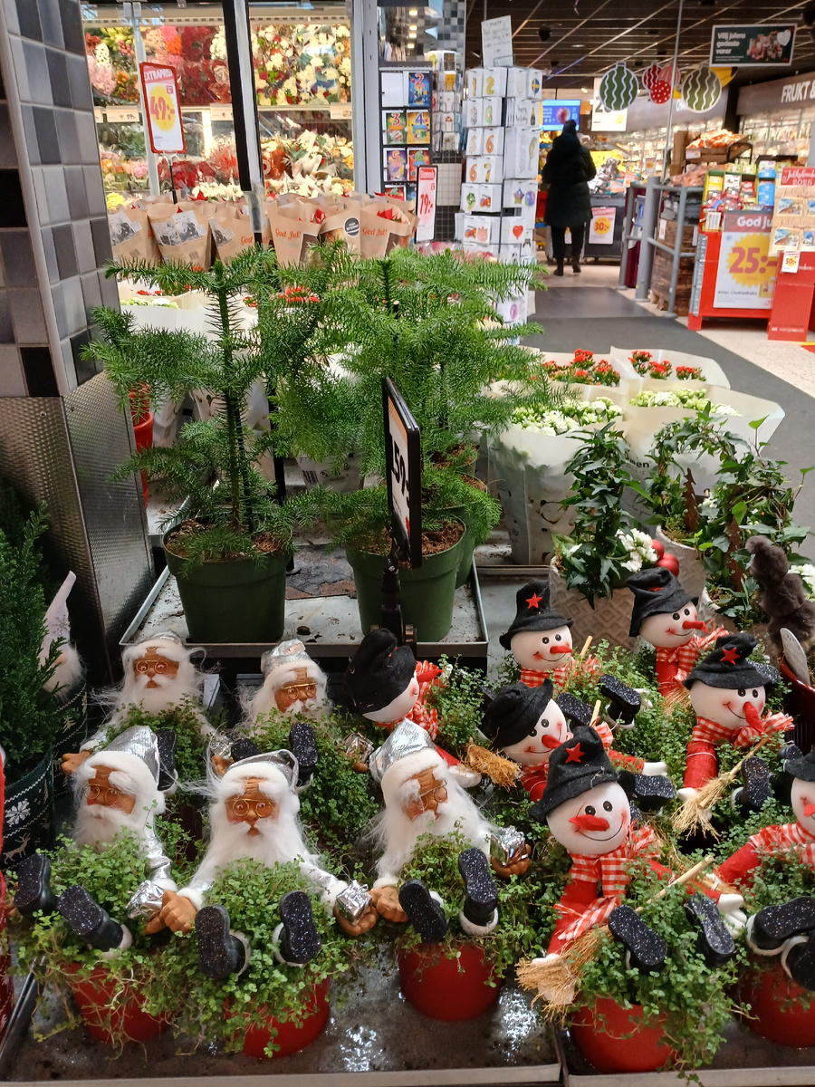 Фото из личного архива 