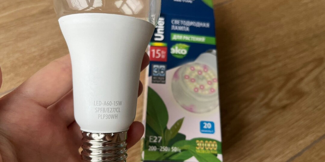 Пять лет без замены лампочек: проверенный способ выбрать светодиодку, которая не сгорит через месяц