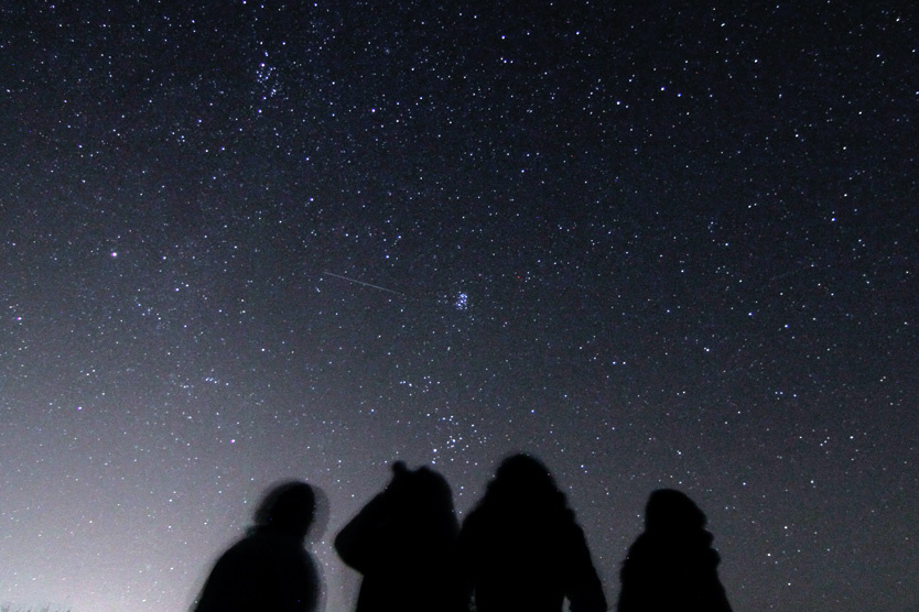     Фото: Petar Petrov / Global Look Press