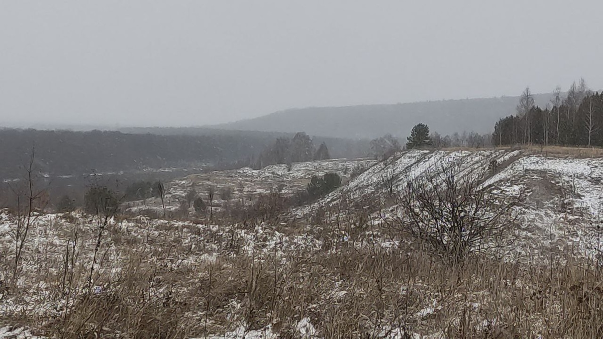 Первый снегопад. Фото автора