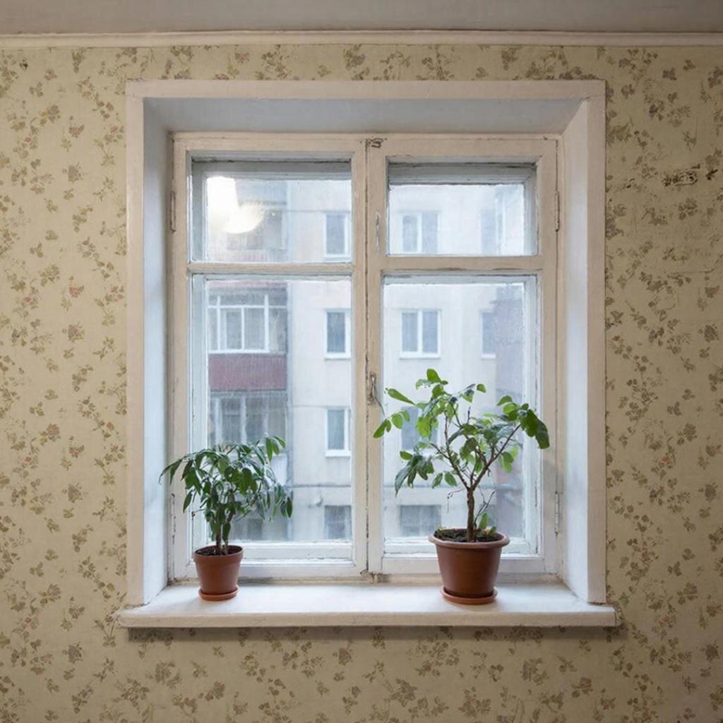 «Дышат» не деревянные окна, а щели в них. 