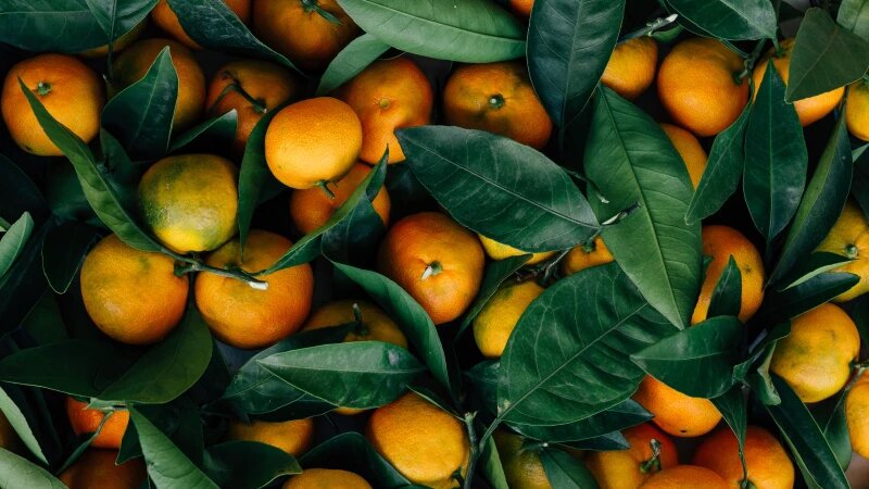     Мандарины. Фрукты. СС0