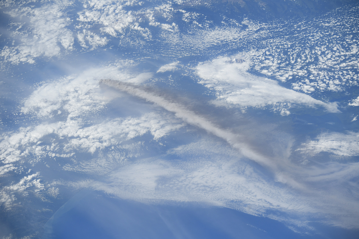 Фото: Алексей Зубрицкий  📷
