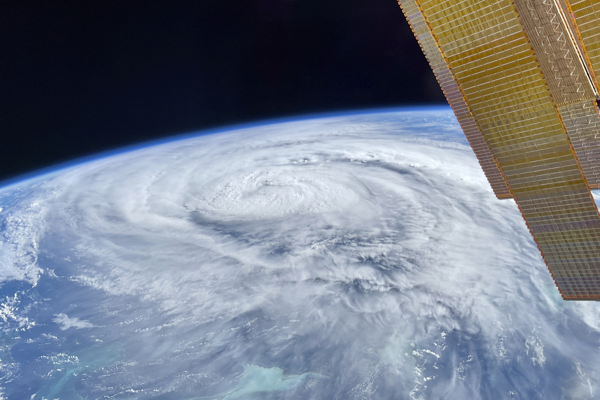Фото: Алексей Зубрицкий  📷
