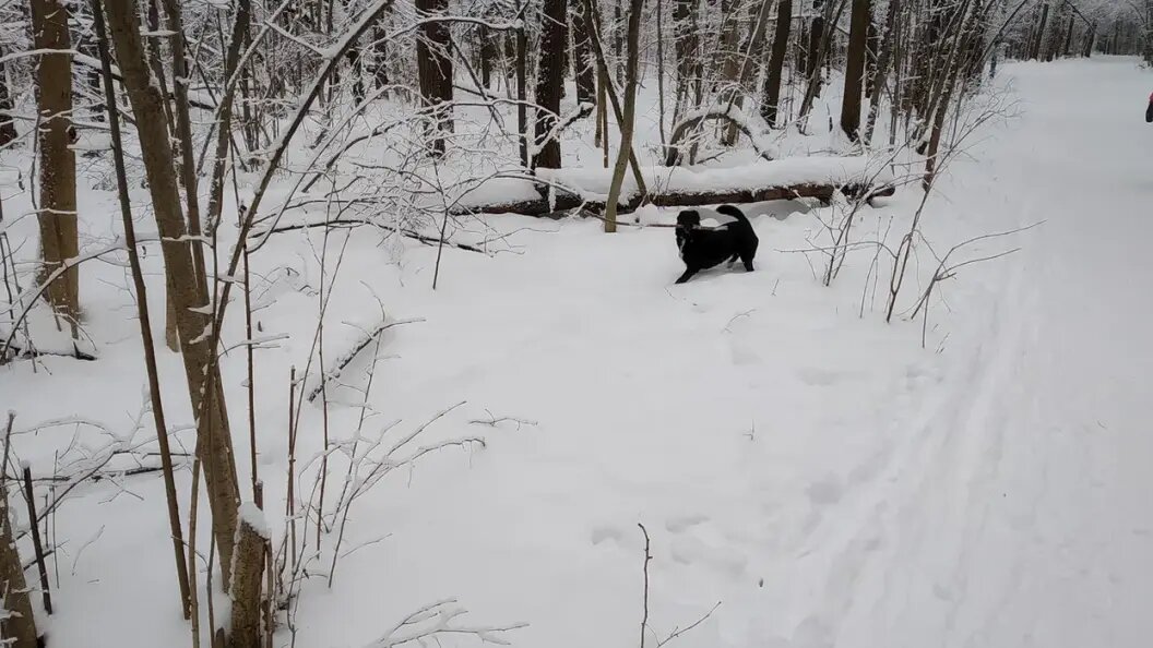    Фото "Царьграда".