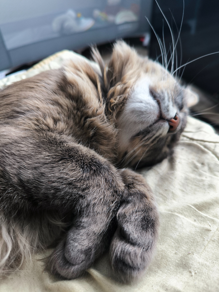 Все фотографии в статье авторские 